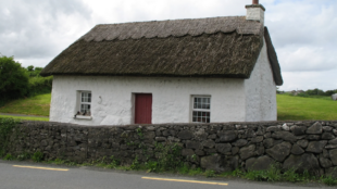 Countryside cottage with thatched roof. The cottage sits behind a stone wall in a field.